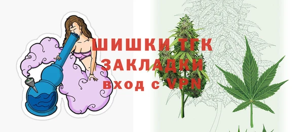 сатива Бородино