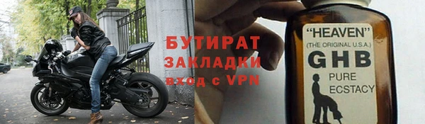 сатива Верея