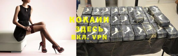 индика Бугульма