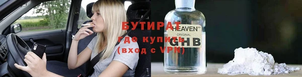 сатива Бородино
